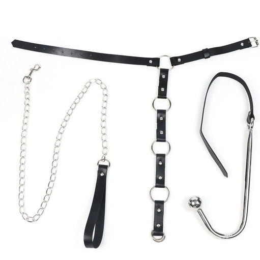 Anal Hooks Hook Anal with Kinky Leash EverydayUse and 5853 Collar 0808